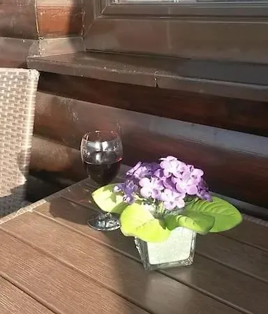 Viola Zlatiborski Konaci Zlatibor