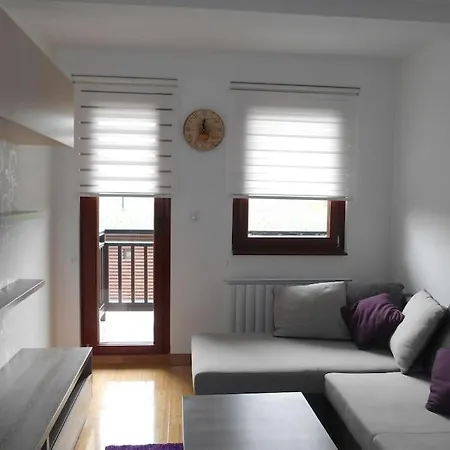 Viola Zlatiborski Konaci *