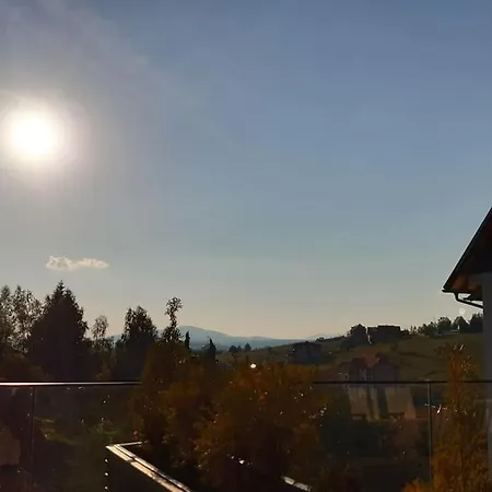 Viola Zlatiborski Konaci *