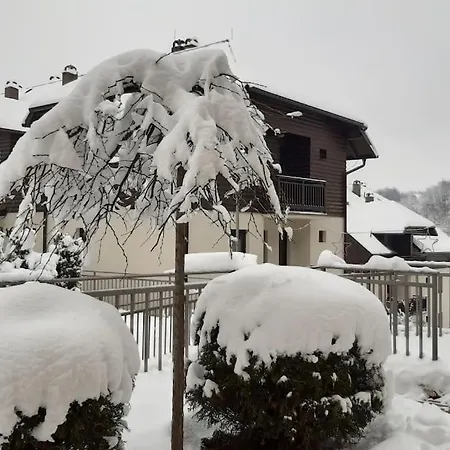 Viola Zlatiborski Konaci *