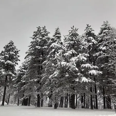 Viola Zlatiborski Konaci Appartamento Zlatibor