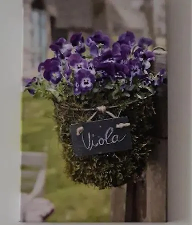 Viola Zlatiborski Konaci Appartamento